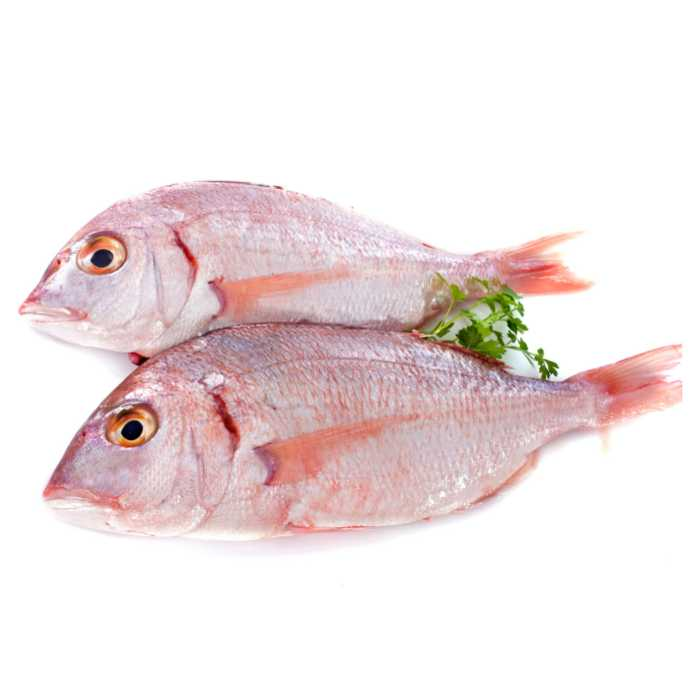 Red Fish